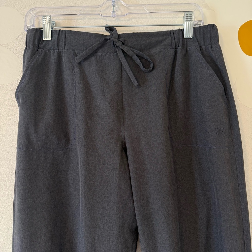 Albion Jetsetter Charcoal Jogger Pants Size Small Tall - Picture 6 of 15